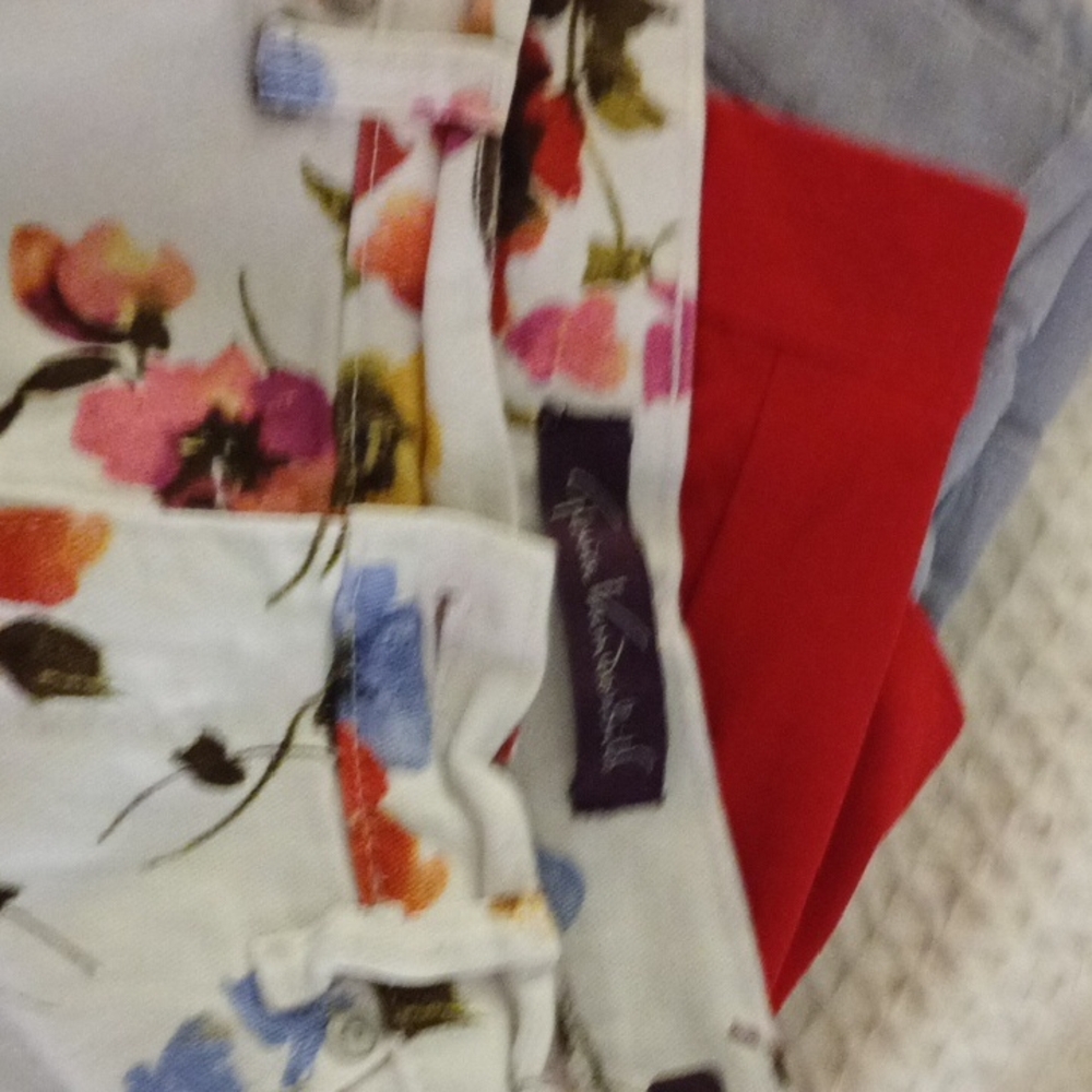 Gloria Vanderbilt Floral and Red Jean Shorts